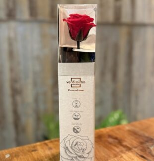 Rosa Preservada, la Rosa Eterna
