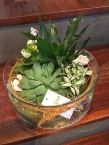 Composición con plantas