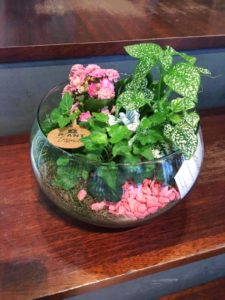 Composición con plantas naturales